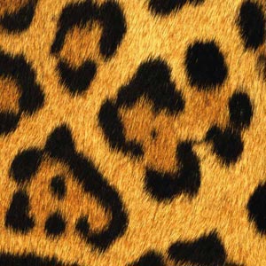 Leopard Animal Print Playstation 3 & PS3 Skin